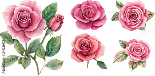 bouquet of pink roses
