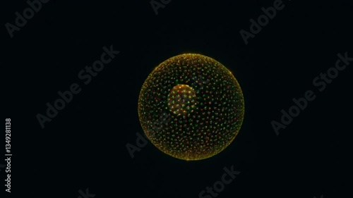 Animated Sun-Like Sphere with Reflections on a Black Background