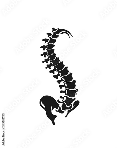 Spine icon vector in black color with white background. Human spine.