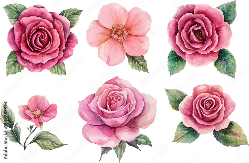 Fototapeta premium set of roses vector illustration