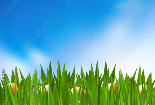 Colored chocolate eggs in green grass. Easter field with chocolates hunt. Spring meadow happy child holiday. Vector 3d banner border. Garden outdoors greeting, cute event gift concept. Blue cloudy sky