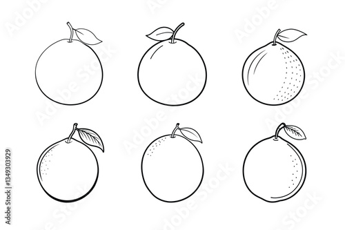 Pomelo – Citrus maxima line art vector illustration