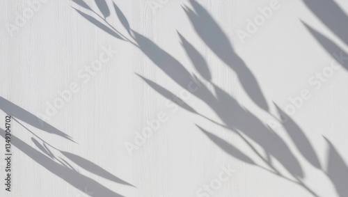 Leaves shadow and tree branch on a white wall background