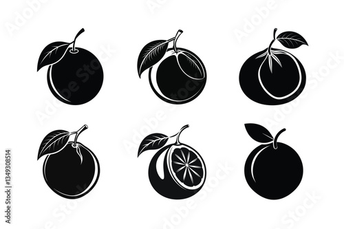 Pomelo – Citrus maxima silhouette vector illustration