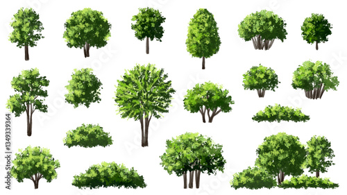  Vector watercolor green  tree or forest side view isolated on white background for landscape and architecture drawing,elements for environment or and garden,Shrub for section