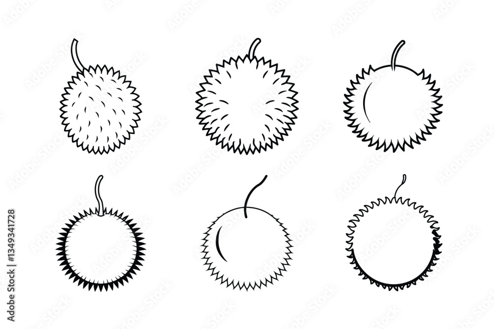 Fototapeta premium Rambutan – Nephelium lappaceum line art vector illustration
