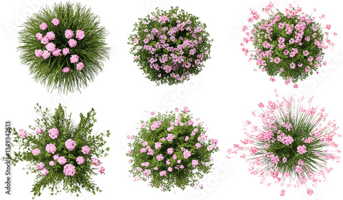 Aerial view vector of pink flowers, gardening set on transparent backgrounds, png illustrations, spring bloom, floral gardening, nature design, vibrant pink flowers, gardening art