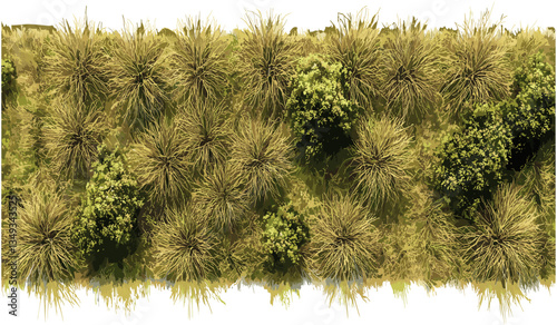 Farming Aerial view Vector, savanna, grass row, realistic PNG, transparent backgrounds, agriculture meadow, field top view, nature map, rural land, greenery, plantation, earth texture