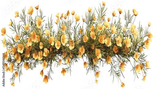 Aerial view vector illustration, yellowed flowery blossoms row, transparent PNG, floral design, botanical art, plant cut-out, nature background, summer blossoms, blossom pattern.
