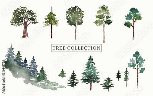 Collection of trees in watercolour style in vector.