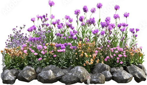 Vector flowers gardening environmental illustration, cut-out transparent backgrounds, blooms png, floral design, nature, garden art, eco-friendly, spring, vector graphics, plant, leaves