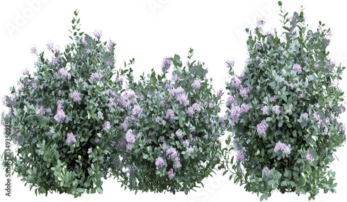 Flower bushes vector, isolated clipart, png nature background, floral design, plants, transparent, botanical clipart, spring season, nature vector, garden artwork, floral elements