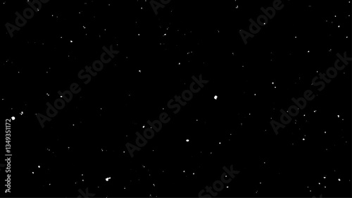 white flying motion on black background, Romantic flying flower petal backdrop, Particles Flying on black