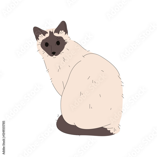 Balinese cat or purebred long-haired Siamese animal. Vector kitten or kitty. Domesticated mammal or house catling breed. Puss or pussycat. Friendly pet companion. Agile domestic fauna. Zoology theme