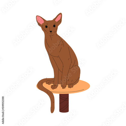 Devon rex animal or shorthair cat. Vector oriental kitten or sitting pussycat, domestic kitty or domesticated catling. Feline mammal that uses meow sound. Sociable and intelligent pet. Short hair.