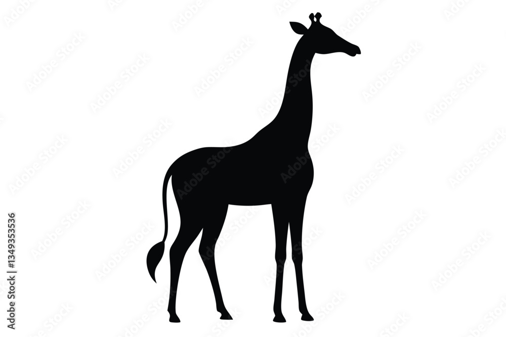 giraffe vector illustration giraffe vector illustration