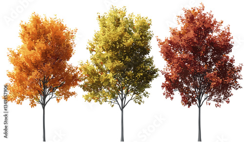Vector cutout autumn trees colorful foliage isolated backgrounds png, fall leaves, nature trees, autumn landscape, colorful leaves, seasonal background, autumn season, foliage design