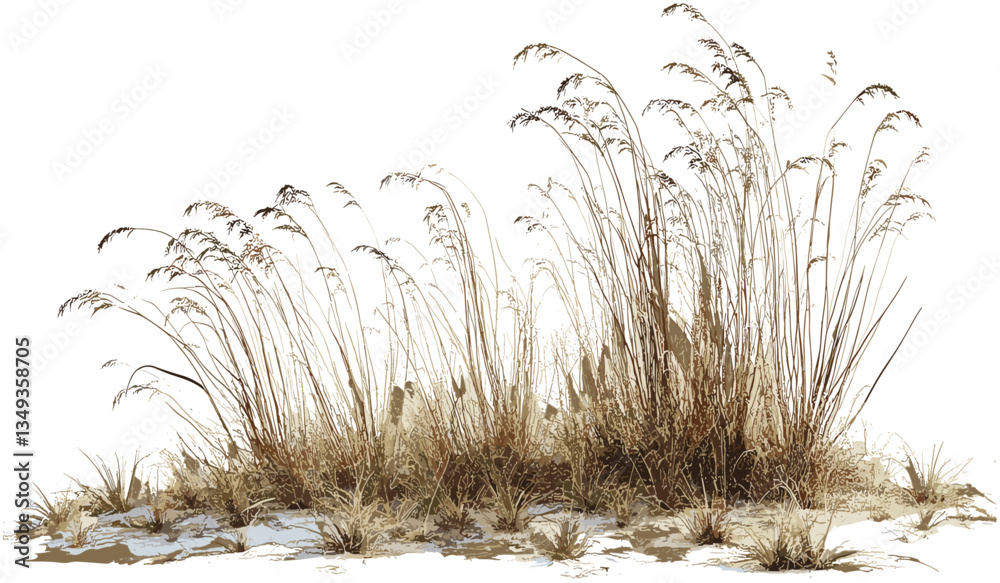 Obraz premium Overgrown field illustration, dried grass vector, meadow texture, wild grass png, nature field, grass cutout, plant background, isolated dried plants, natural scene, field plants