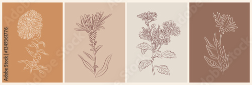 Set of Aster, September birth month flower wall art, posters. Botanical line art vector illustrations on terracotta and beige backgrounds. Modern design for jewelry, tattoo, logo, packaging.