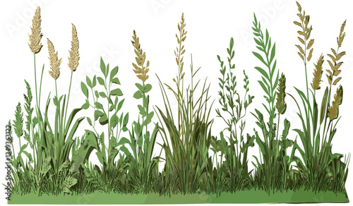 Meadow grass field vector cutout, transparent PNG file, green grass shape, nature landscape, field background, fresh grass, green meadow, summer field, eco-friendly design