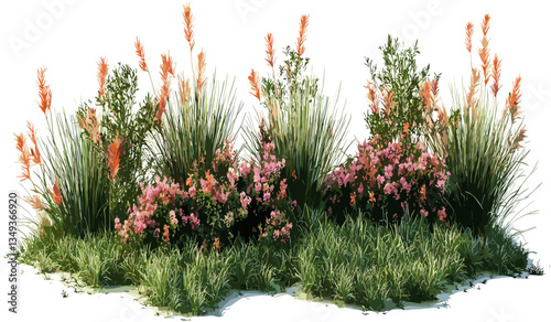 Tropical flowery grass meadow vector cutout isolated on transparent background, summer meadow, fresh grass, plants, floral design, nature background, green meadow