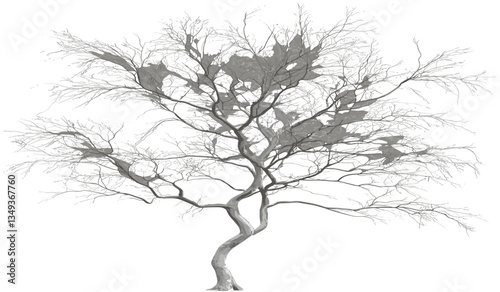 White wooden tree vector, die cut tree png, isolating transparent backgrounds, tree illustrations, abstract silhouette tree, nature clipart, forest design, decorative tree icon