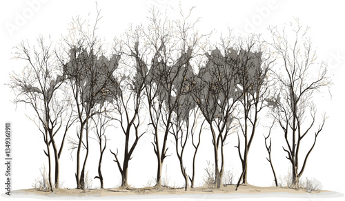 Drought leafless trees vector, isolated, transparent background, PNG, dry, nature, seasonal, barren, environment, tree silhouette, arid landscape, wilderness