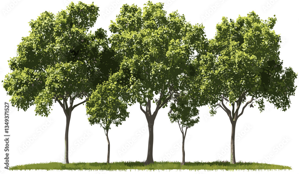 Environmental landscaping, vector hardwood trees row, PNG isolated on transparent background, green trees, nature design, eco-friendly, sustainable landscaping, nature trees. Environmental landscaping, vector hardwood trees row, PNG isolated on transparent background, green trees, nature design, eco-friendly, sustainable landscaping, nature trees.