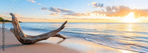 Obraz na płótnie A podium crafted from polished driftwood, resting on the right side of a serene beach with waves gently lapping the shore. w salonie
