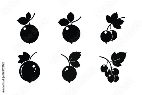 Redcurrant – Ribes rubrum silhouette vector illustration