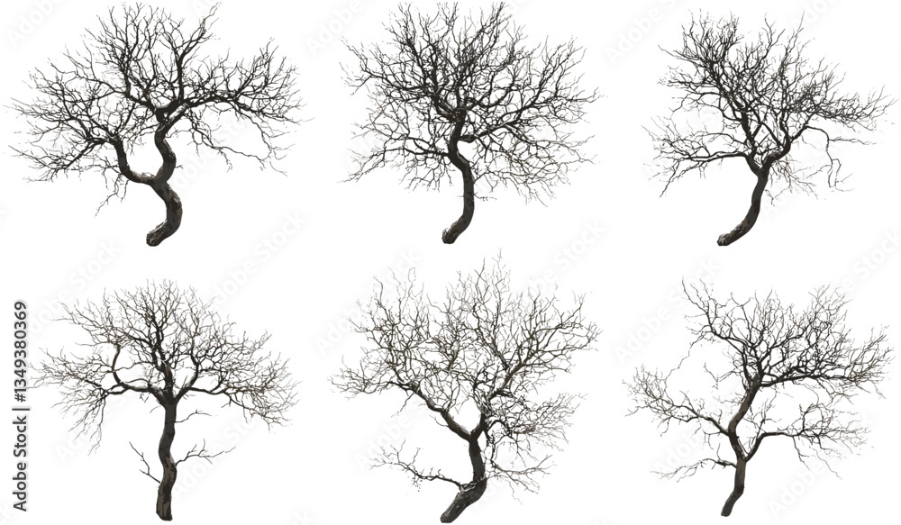 Death trees set cutout vector, from above, barren trees, isolated silhouette, leafless trees, winter landscape, spooky trees, nature concept, dark forest, gloomy atmosphere, Halloween theme Death trees set cutout vector, from above, barren trees, isolated silhouette, leafless trees, winter landscape, spooky trees, nature concept, dark forest, gloomy atmosphere, Halloween theme
