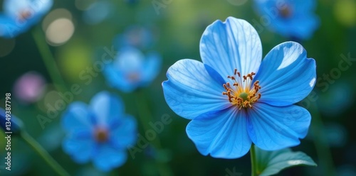 Large translucent blue flower buds in a floral arrangement, blossom, floral, garden