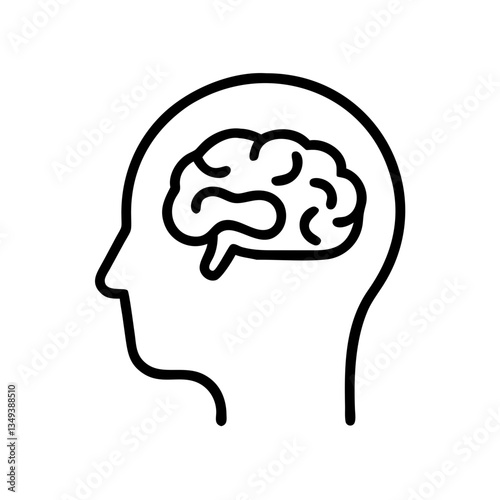 brain