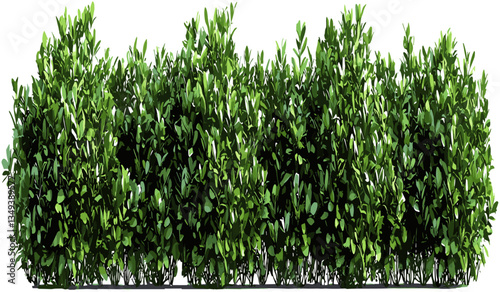 Landscape green shrubs png cutout, row of plants, gardening design, nature eco-friendly, garden greenery, botanical garden, plant landscape, outdoor decor, natural background