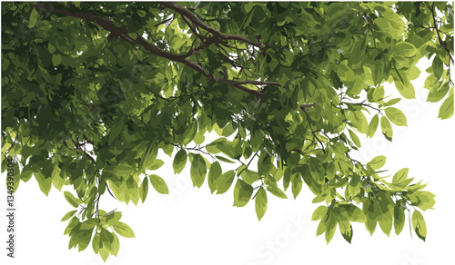 Green tree branches cutout, PNG, lots of leaves, nature silhouette, transparent background, tree foliage design, eco tree leaves, natural foliage backdrop, botanical background