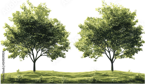 Greenery vector trees, forest shapes cut out, transparent png, nature, eco-friendly, landscape, outdoor, green foliage, tree silhouettes, environmental background