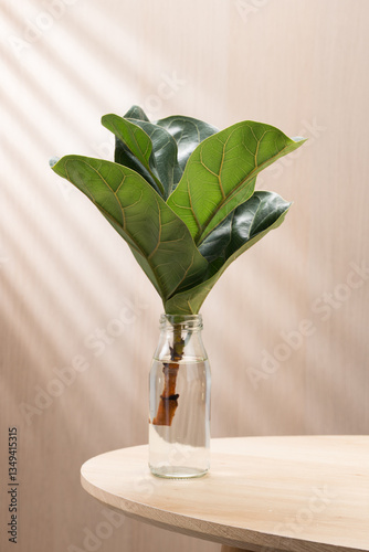 Fiddle Fig cutting in a glass vase, bringing nature indoors.