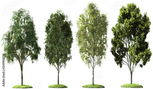 Vector gardening, isolated trees png, transparent background, nature growth, standing trees, plant shapes, environmental design, green gardening, landscape design, natural plants