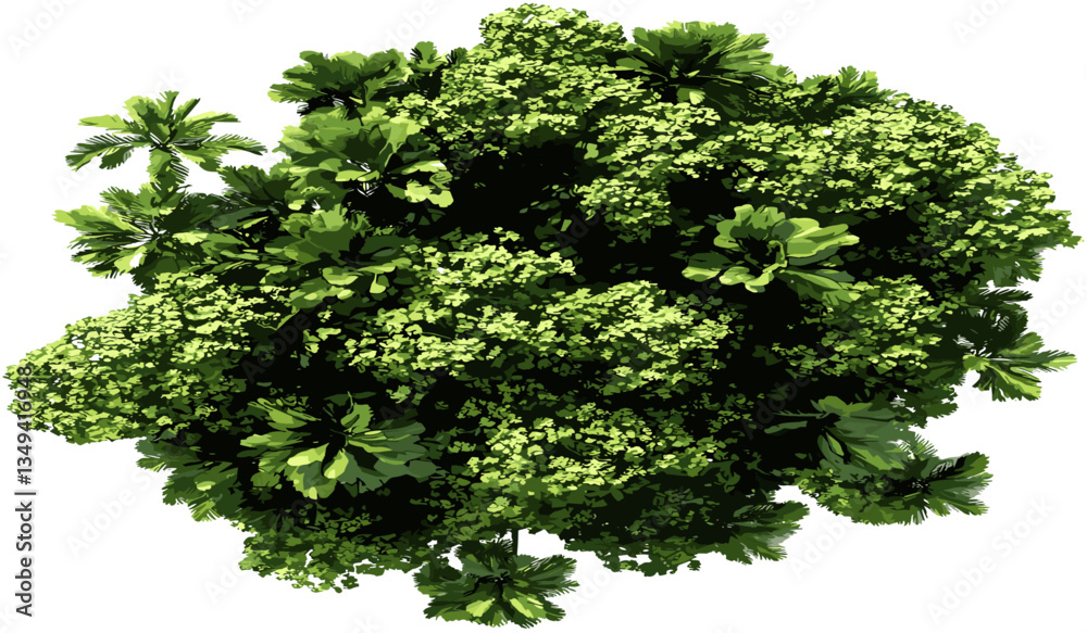 Obraz premium Aerial view of isolated tropics greenery trees cut out, tropical forest canopy, nature background, eco tourism, exotic landscape, aerial tropical trees, lush green scenery, island view