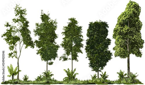 Vector PNG jungle forest trees, tropical rainforest shapes, foliage illustration, eco-friendly background, nature-inspired design, lush greenery, exotic plants, wild habitat