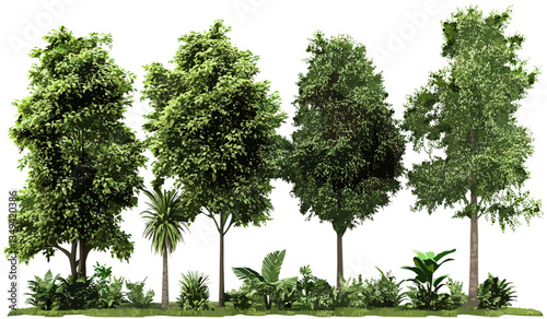 Jungle forest trees vector set, rainforest PNG shapes, tropical foliage, nature illustrations, eco-friendly plants, wildlife design, lush greenery, tropical landscape