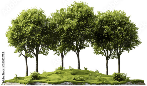 Vector landscape woods trees environmental growth nature forest ecosystem, green woods, outdoor environment, natural landscape, forest growth, tree growth, sustainable ecosystem