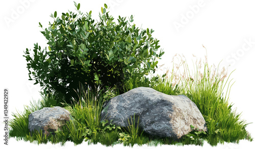 Vector meadow with plants, rocky landscape, environmental grassy field, natural scenery, wildflowers, rural terrain, sustainable outdoors, vibrant greenery, scenic nature, lush field
