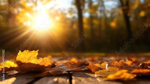 Wallpaper Mural Autumn leaves on a wooden pathway in a sunlit forest Torontodigital.ca