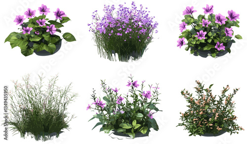 Flower blooms naturally growing, vector illustrations set, transparent backgrounds, png format, fresh floral artwork, blooming nature graphics, spring flower design