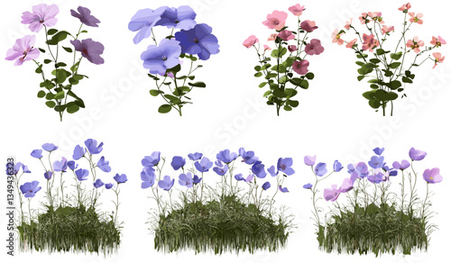 Vector flowers growing naturally, blooming illustrations set, transparent backgrounds, png format, spring blooms, nature artwork, floral designs, fresh flower vector illustrations