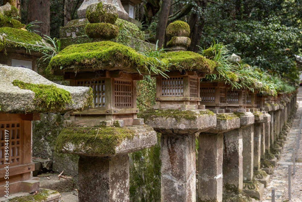 Ancient stone lanterns, heavily covered in moss, stand in a serene Japanese shrine. These structures represent centuries of spiritual devotion. Ancient stone lanterns, heavily covered in moss, stand in a serene Japanese shrine. These structures represent centuries of spiritual devotion.