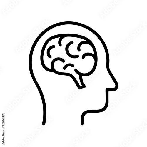 brain