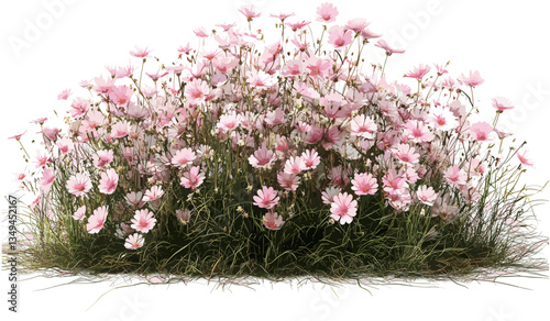 Flowery meadow in spring, pink vibrant flowers, vector garden, blooming nature, springtime landscape, beautiful outdoors, floral scenery, peaceful meadow, nature background,