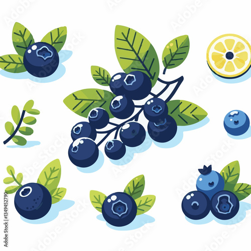 blueberry, bilberry, fresh, background, berry, food, blue, healthy, fruit, delicious, ripe, closeup, natural, white, dessert, leaves, organic, raw, sweet, vegetarian, berries, huckleberry, nutrition, 